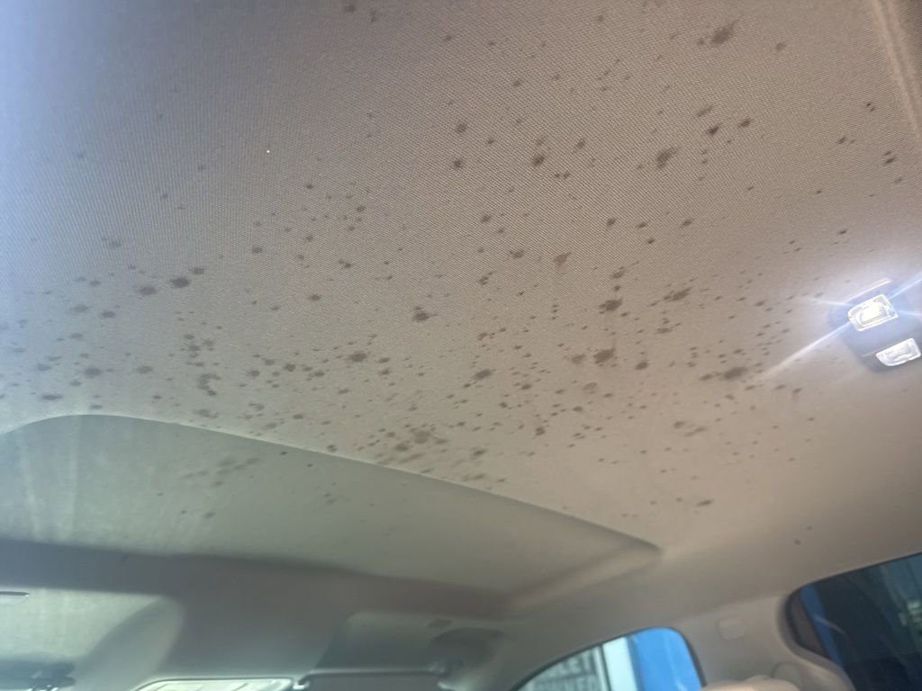 Used 2022 Chevrolet Silverado 2500 Custom w/ Custom Value Package image 16