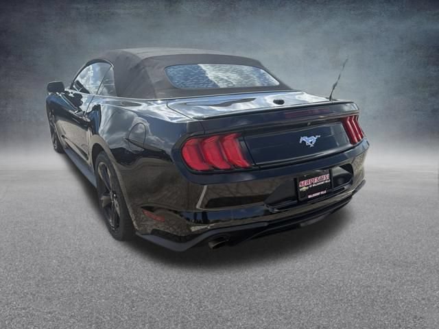Used 2019 Ford Mustang Premium RWD image 8