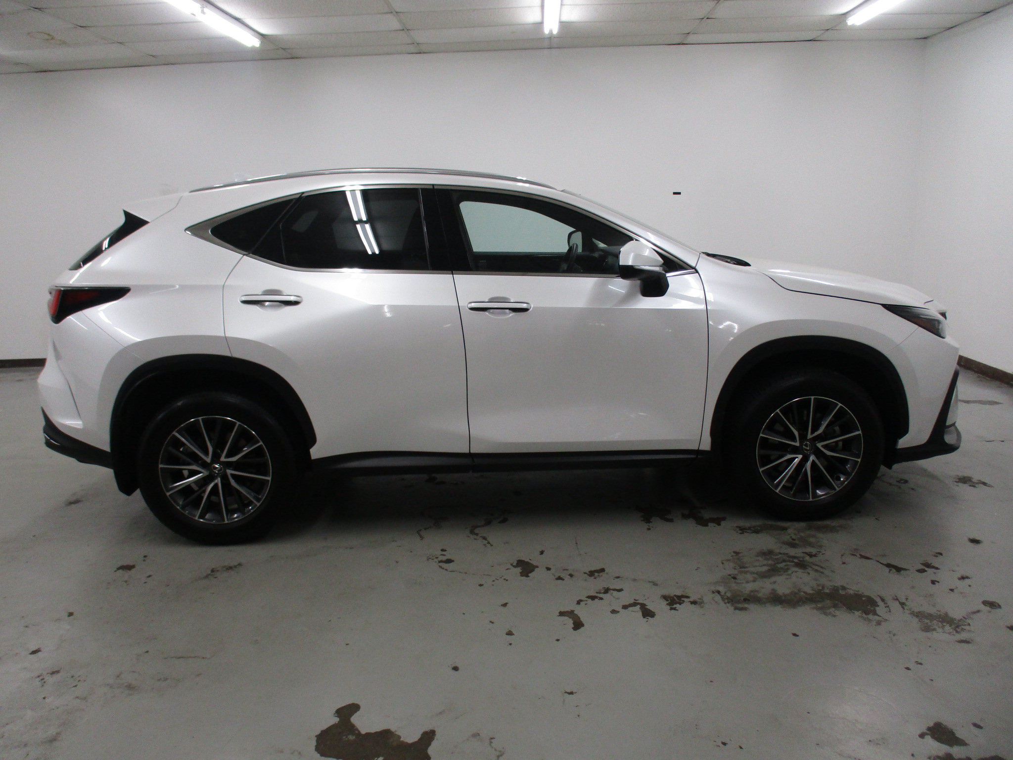 Used 2024 Lexus NX 350 AWD w/ Cold Area Package image 11