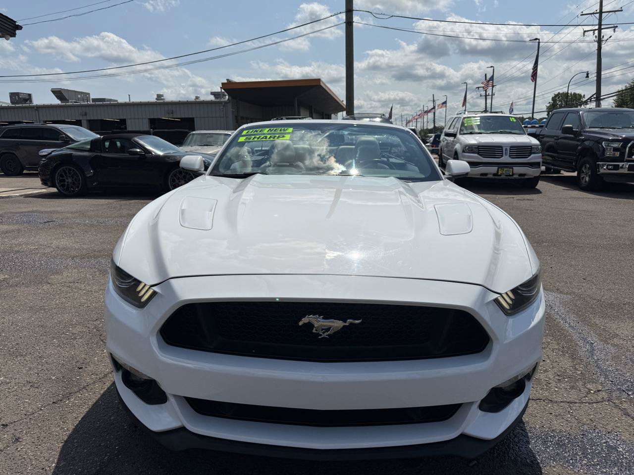 Used 2017 Ford Mustang GT Premium w/ Equipment Group 401A RWD image 11