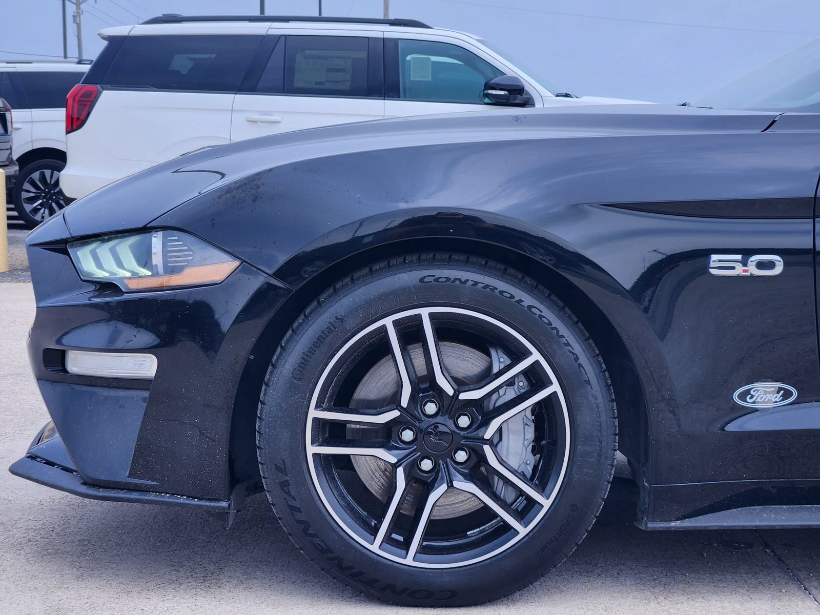 Used 2021 Ford Mustang GT w/ Equipment Group 301A RWD image 9