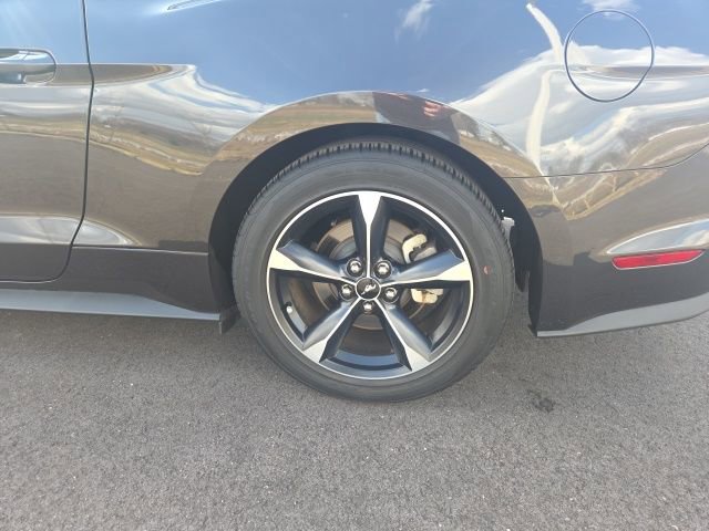 Used 2023 Ford Mustang Coupe w/ Equipment Group 101A image 14