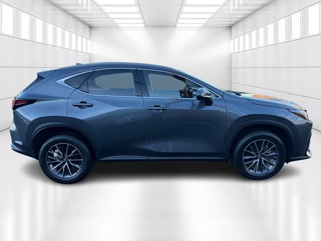 Certified 2023 Lexus NX 250 250 Base image 4