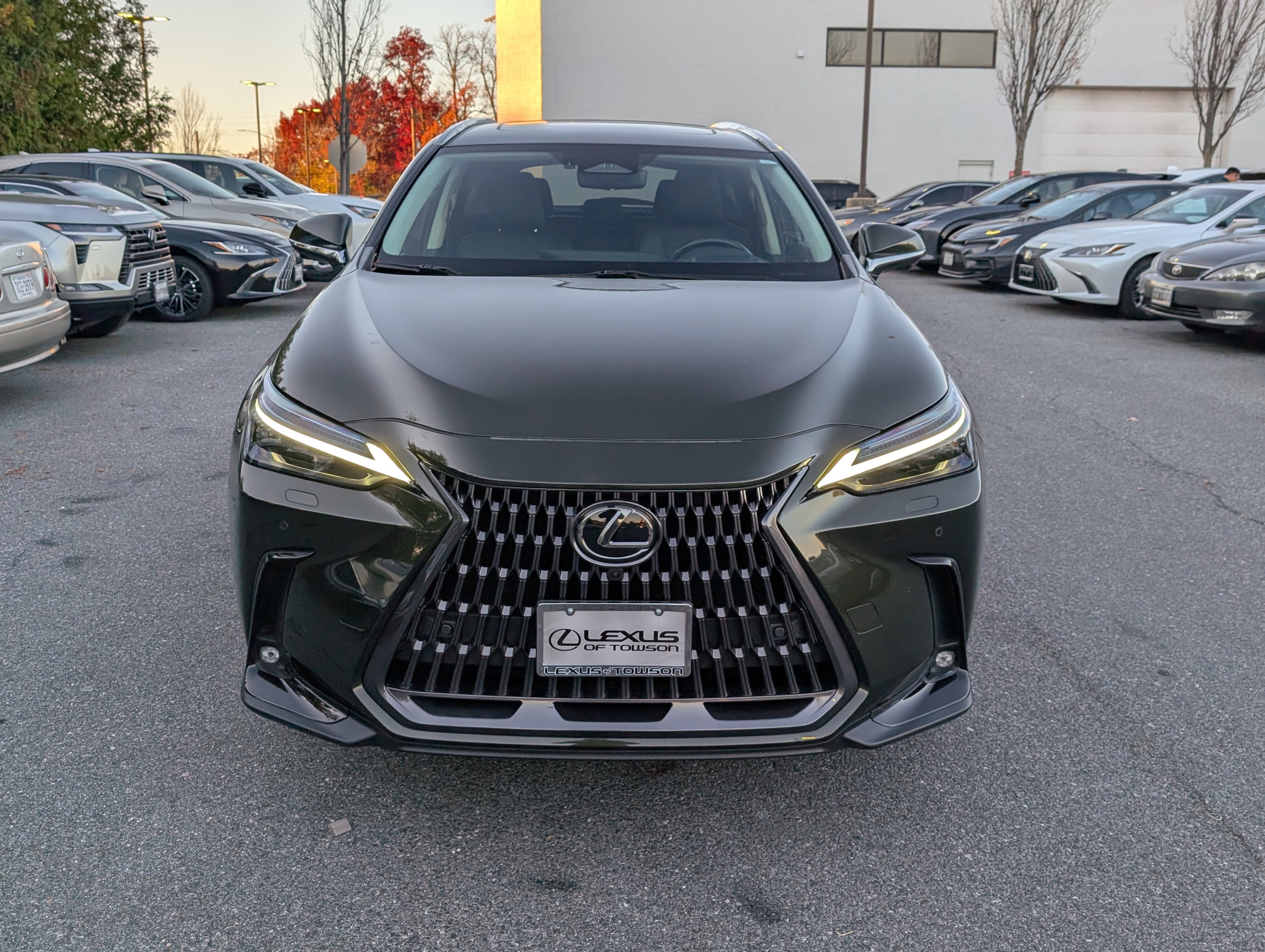 Certified 2024 Lexus NX 350 350 Luxury w/ Vision Package image 8