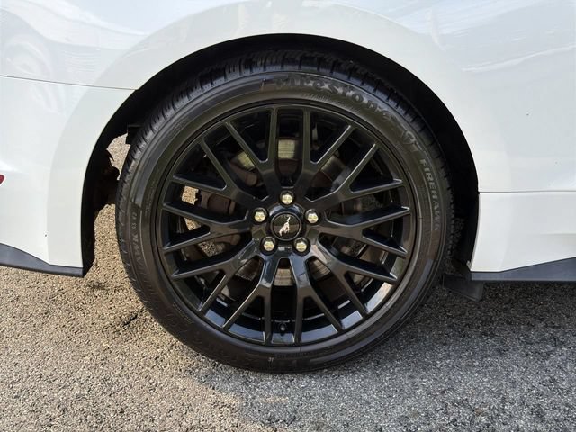Used 2018 Ford Mustang GT Premium w/ GT Performance Package RWD image 12