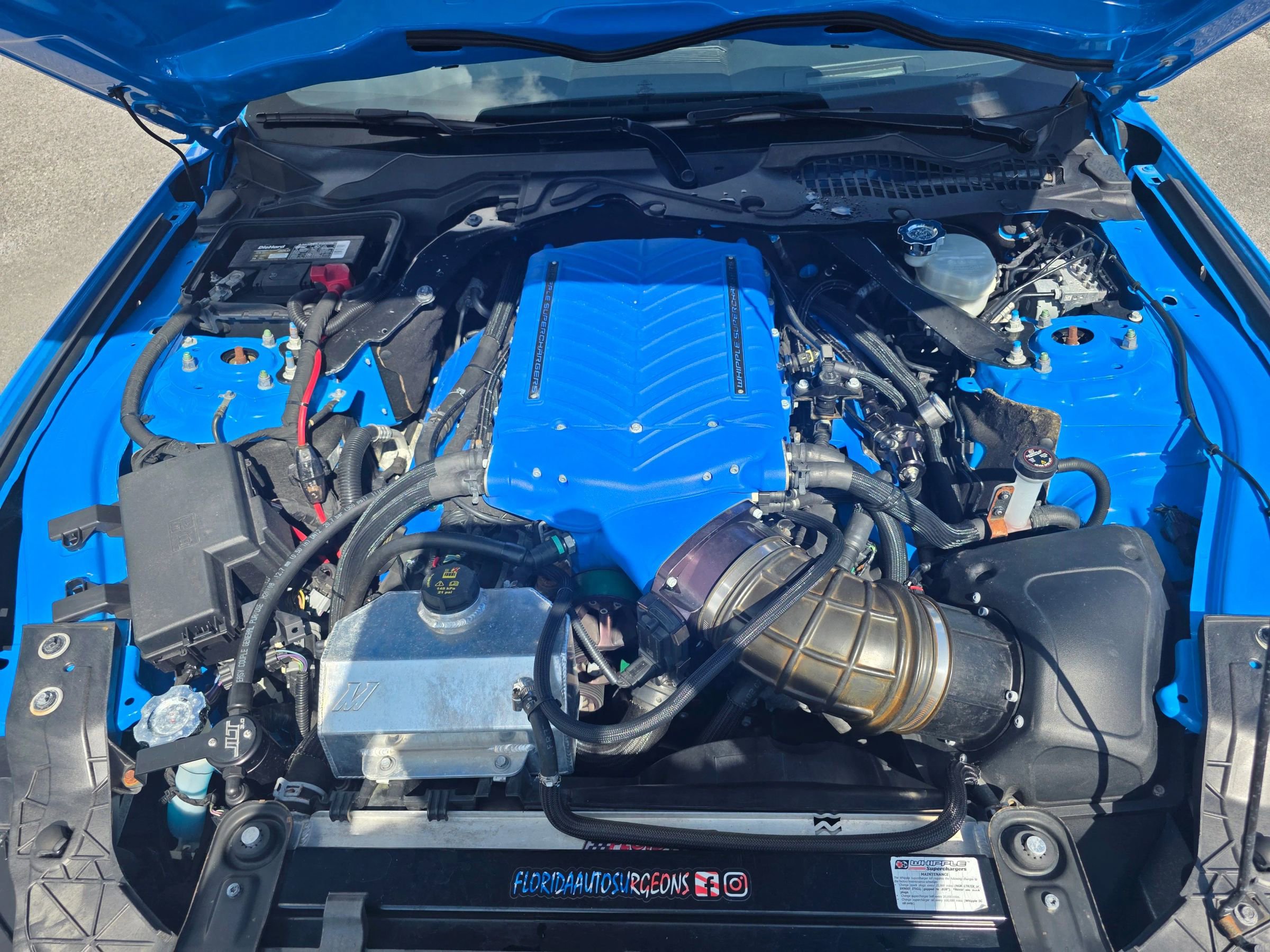 Used 2017 Ford Mustang Shelby GT350 w/ Electronics Package image 10