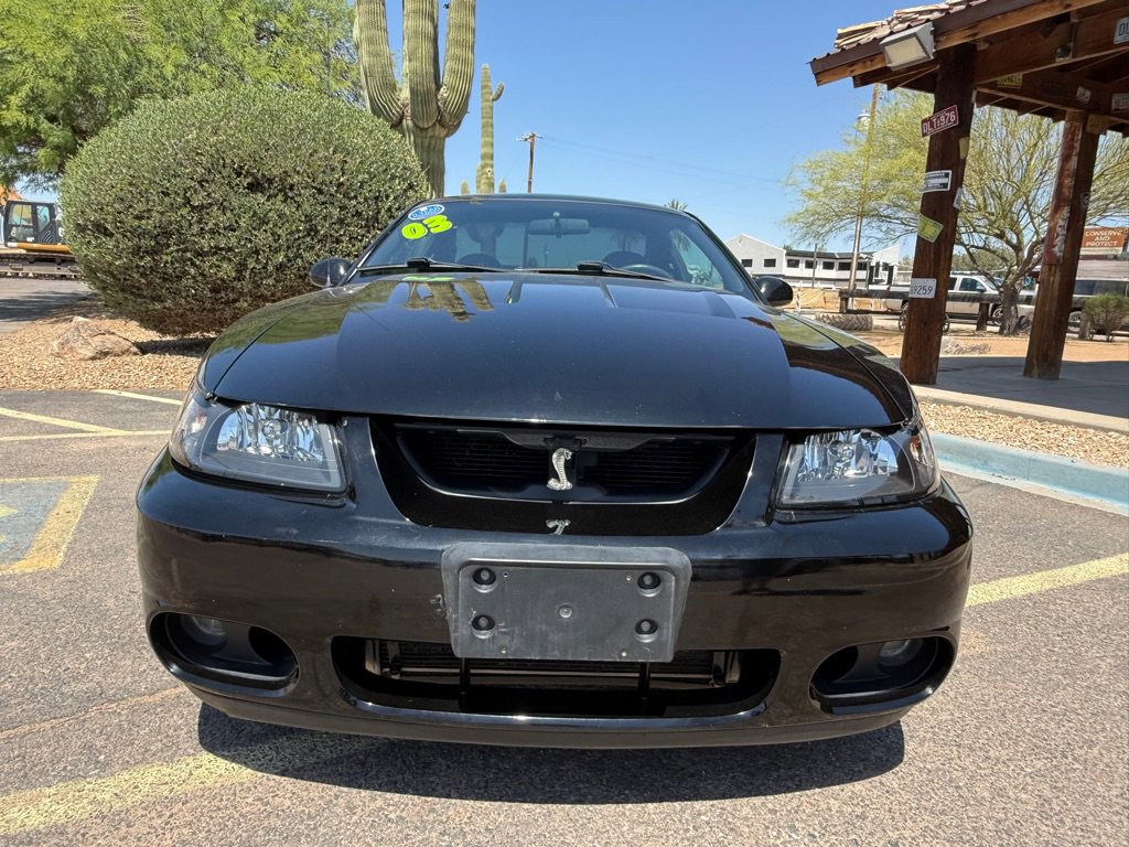 Used 2003 Ford Mustang Cobra RWD image 4