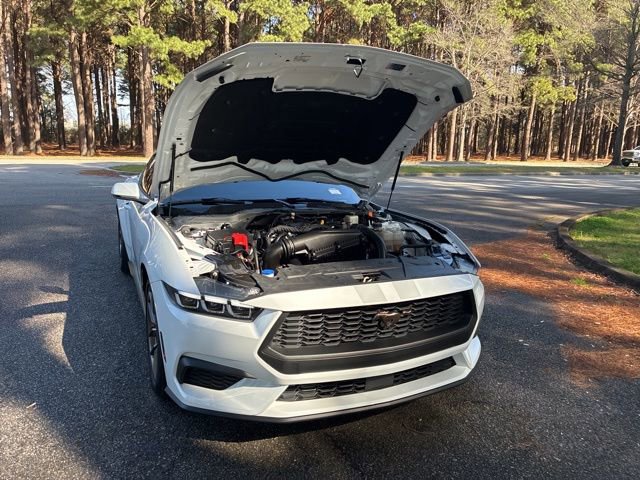 Used 2024 Ford Mustang Premium image 20