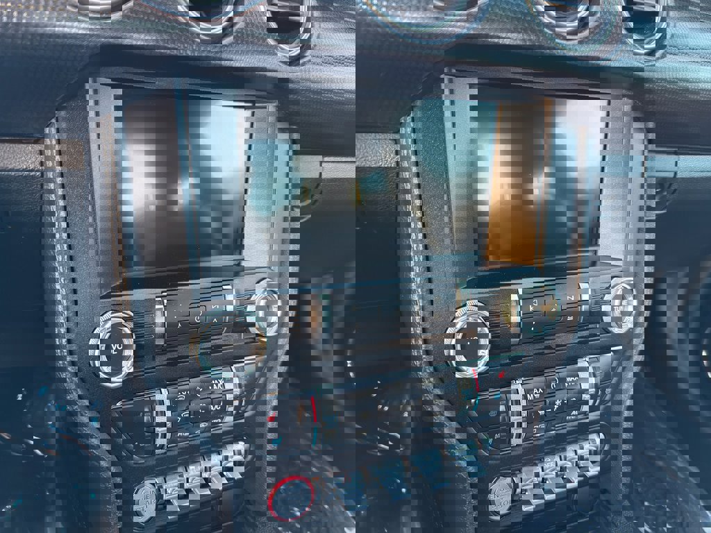 Used 2019 Ford Mustang GT Premium w/ Equipment Group 401A image 14