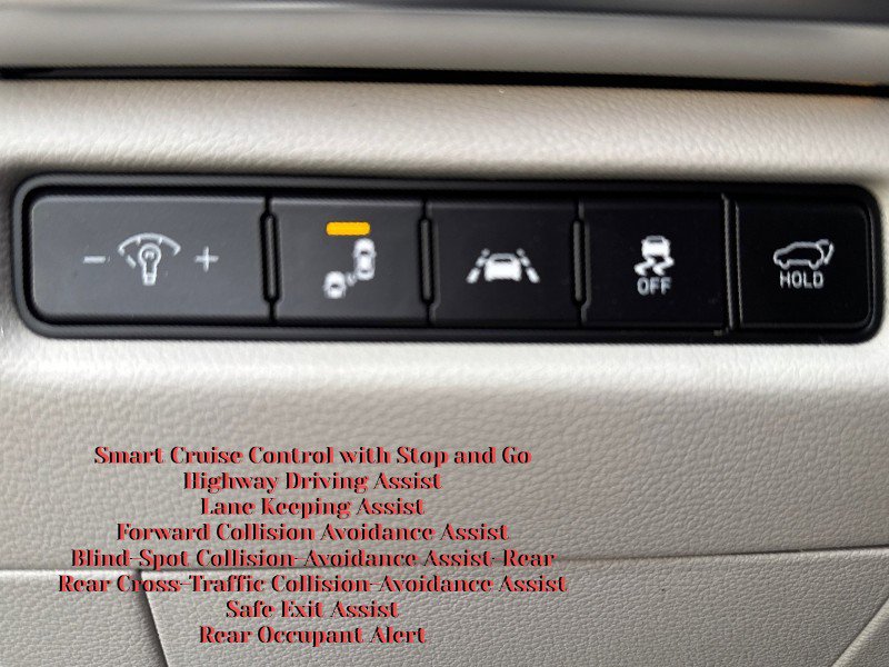 Used 2020 Kia Telluride SX w/ SX Prestige Package image 18