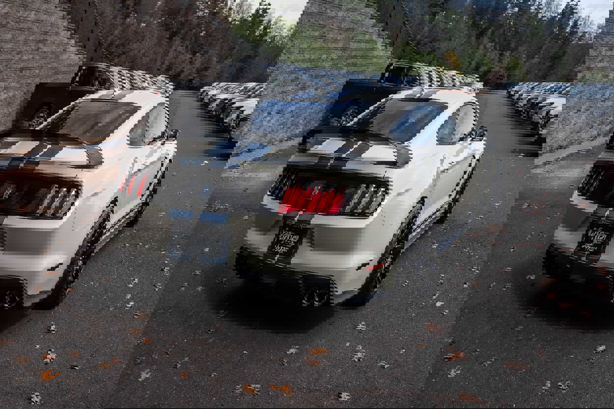 Used 2020 Ford Mustang Shelby GT350R w/ GT350R Equipment Group 920A image 5