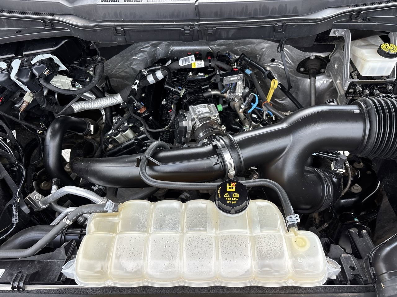 Used 2023 Ford F150 XLT w/ Equipment Group 302A High image 8