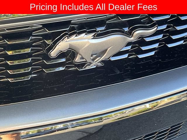Used 2021 Ford Mustang Mach 1 RWD image 13