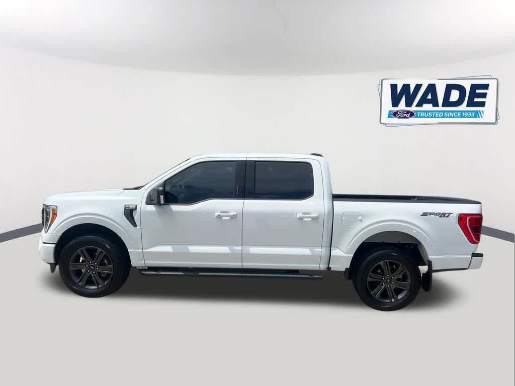 Used 2023 Ford F150 XLT w/ Equipment Group 302A High AWD/4WD image 8