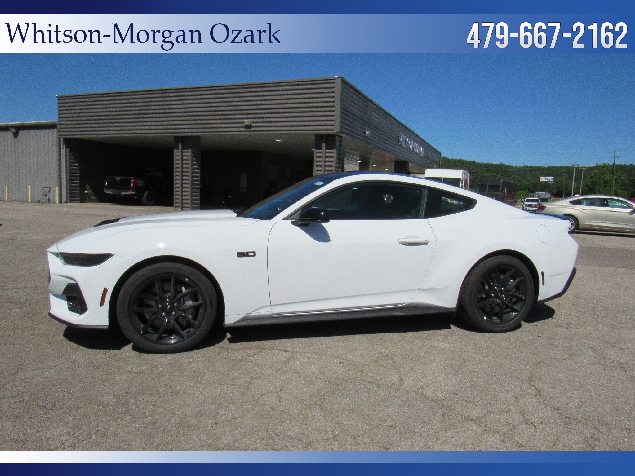 New 2026 Ford Mustang GT w/ Mustang Nite Pony Package RWD image 9