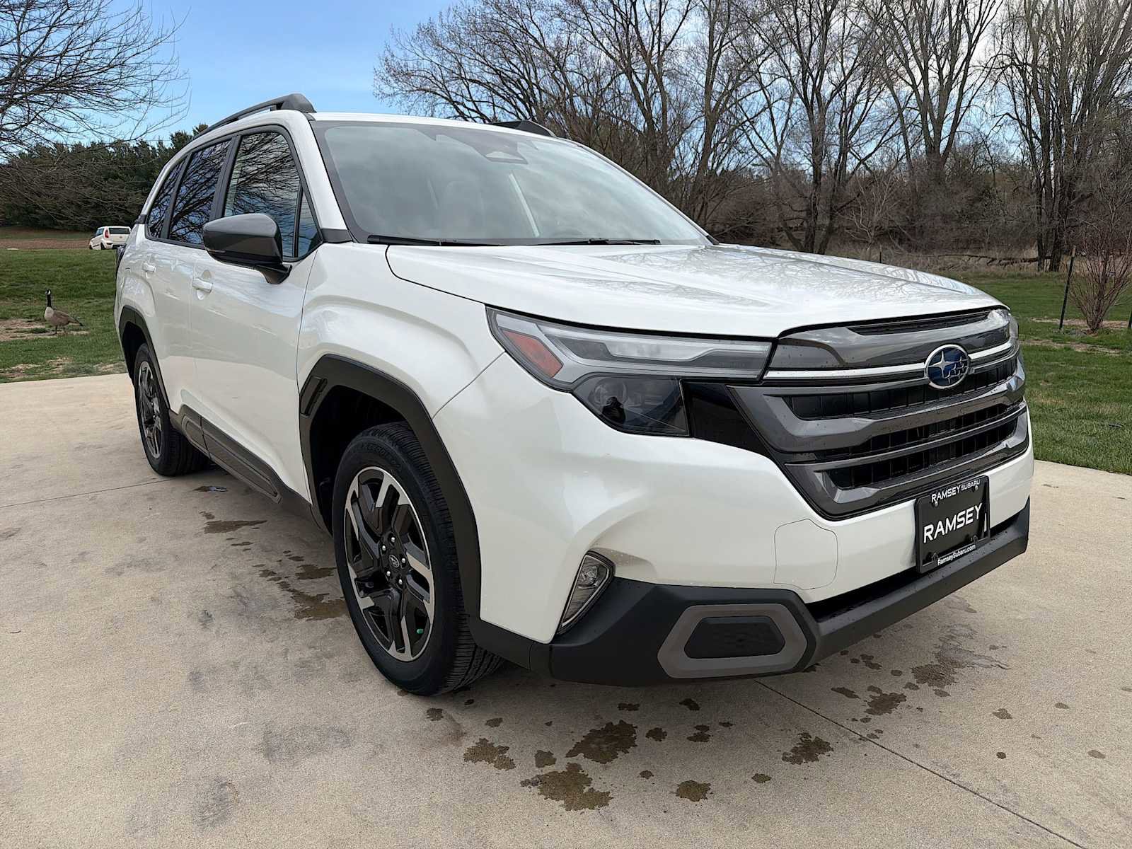 Certified 2025 Subaru Forester Limited image 8