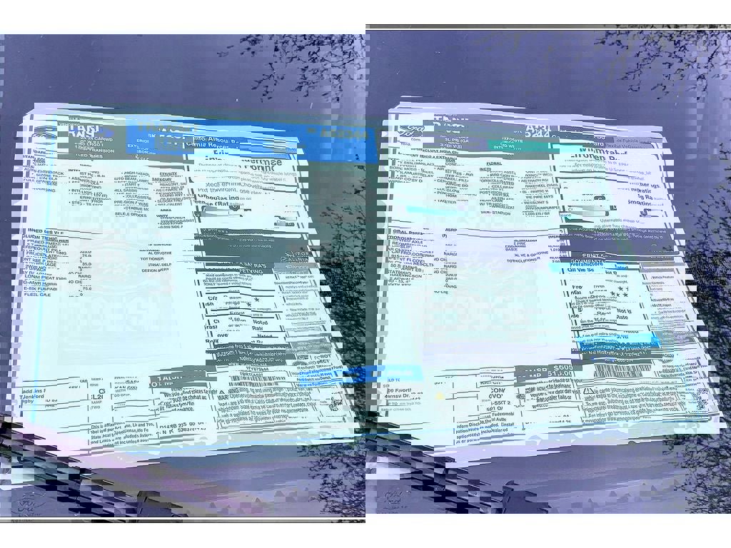 New 2025 Ford Transit 250 Low Roof image 15