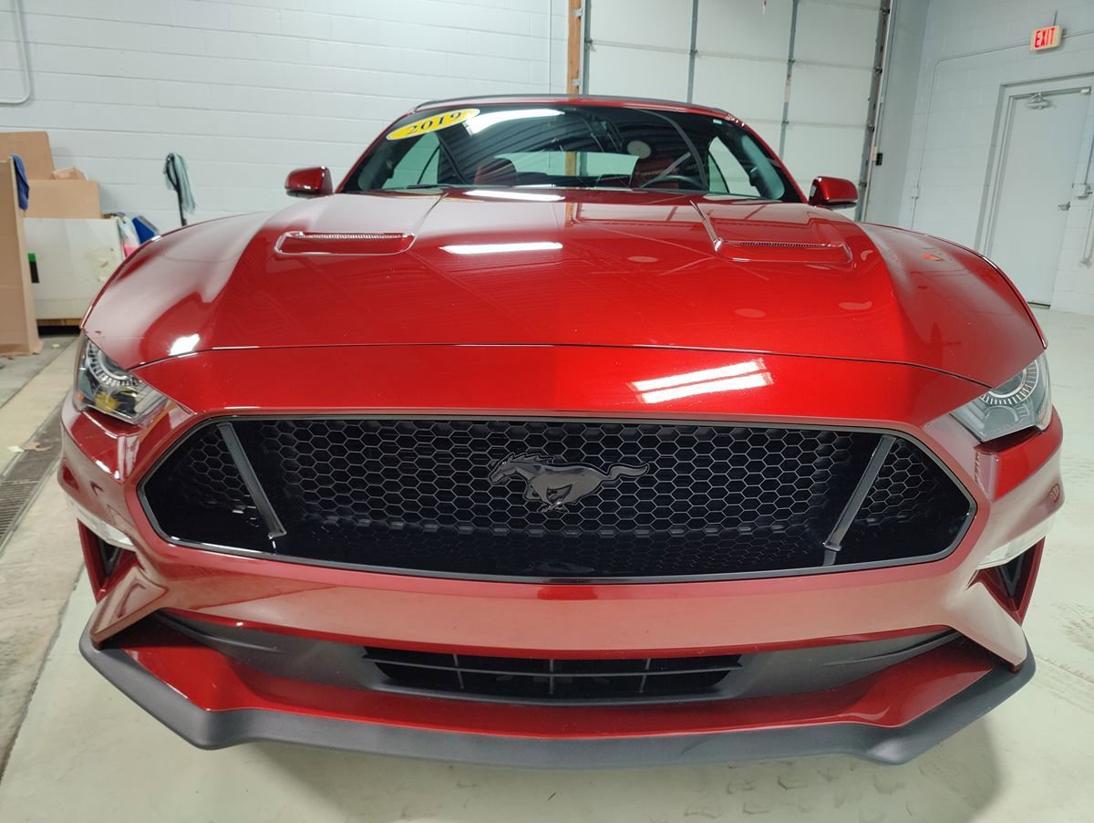 Used 2019 Ford Mustang GT Premium w/ Equipment Group 401A RWD image 3