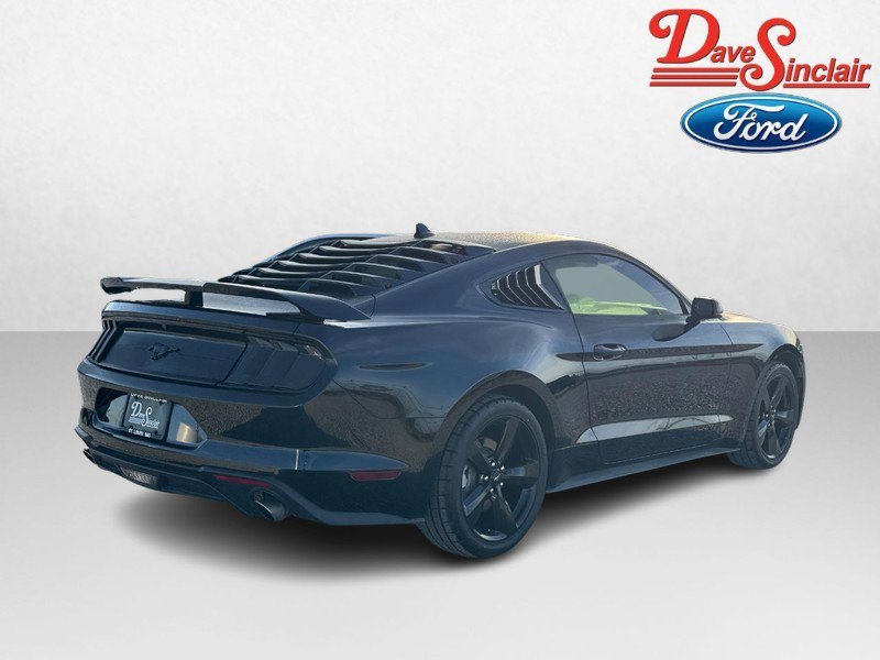 Used 2023 Ford Mustang Premium w/ Equipment Group 201A image 7