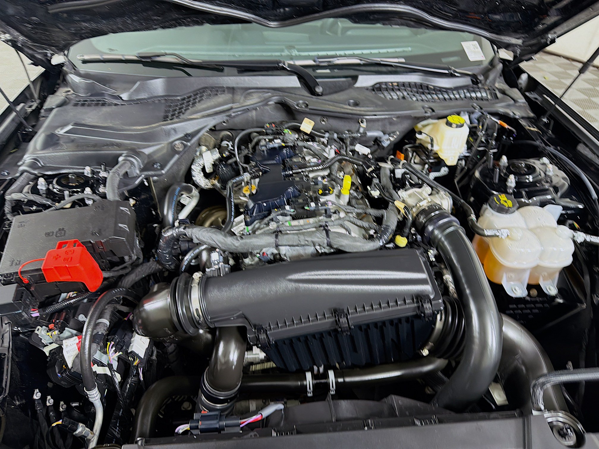 Used 2025 Ford Mustang Coupe RWD image 29