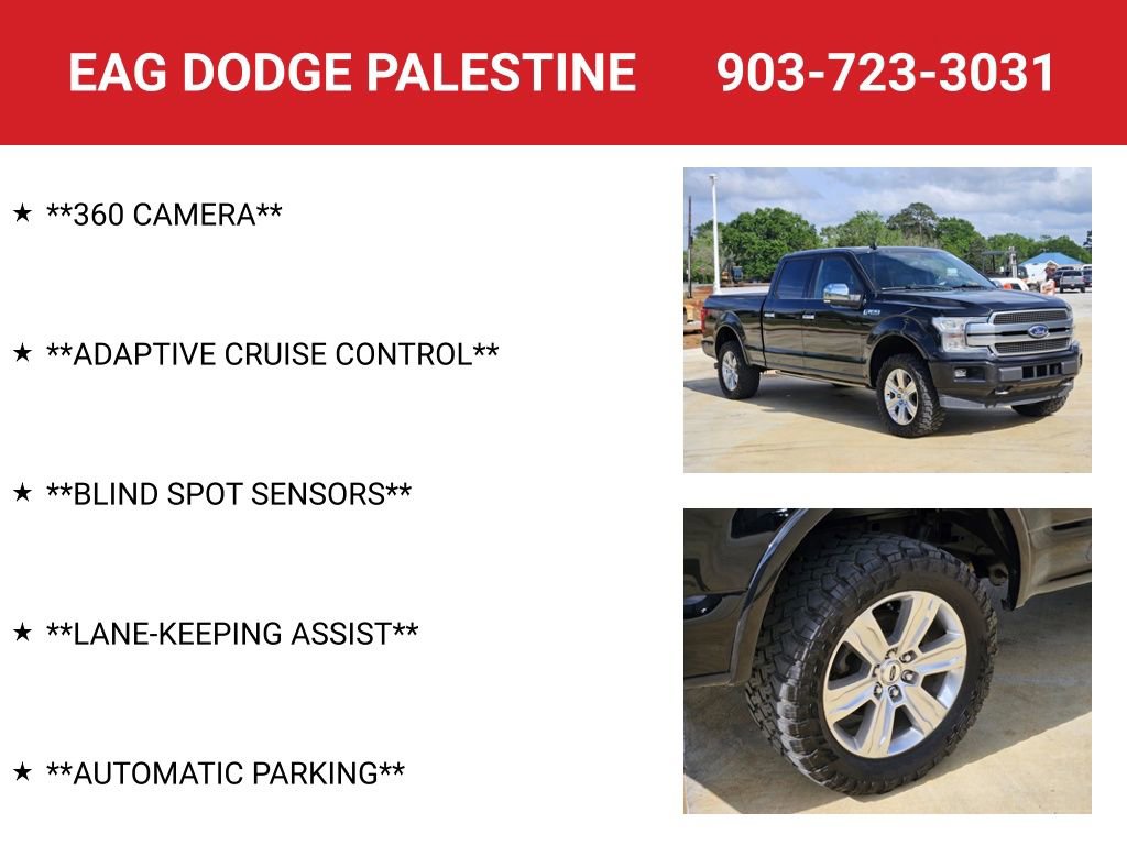 Used 2020 Ford F150 Platinum w/ Equipment Group 701A Luxury image 8