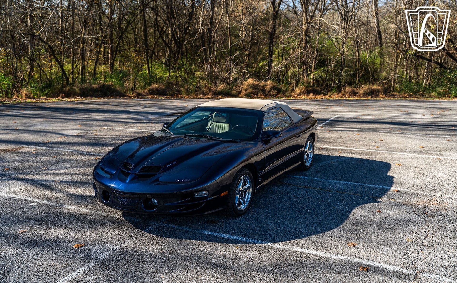 Used 2000 Pontiac Firebird Trans Am image 6