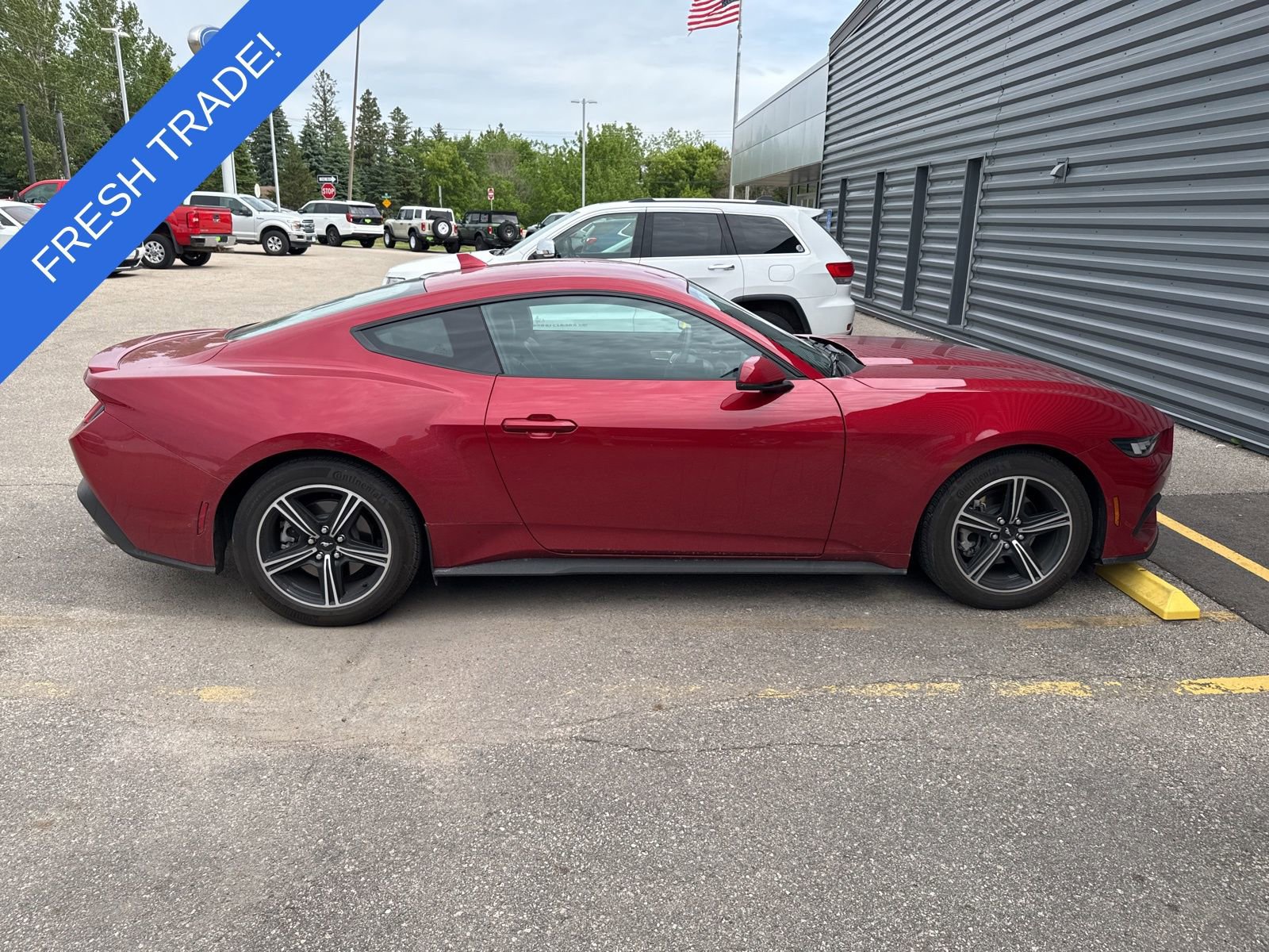 Used 2024 Ford Mustang Premium RWD image 4