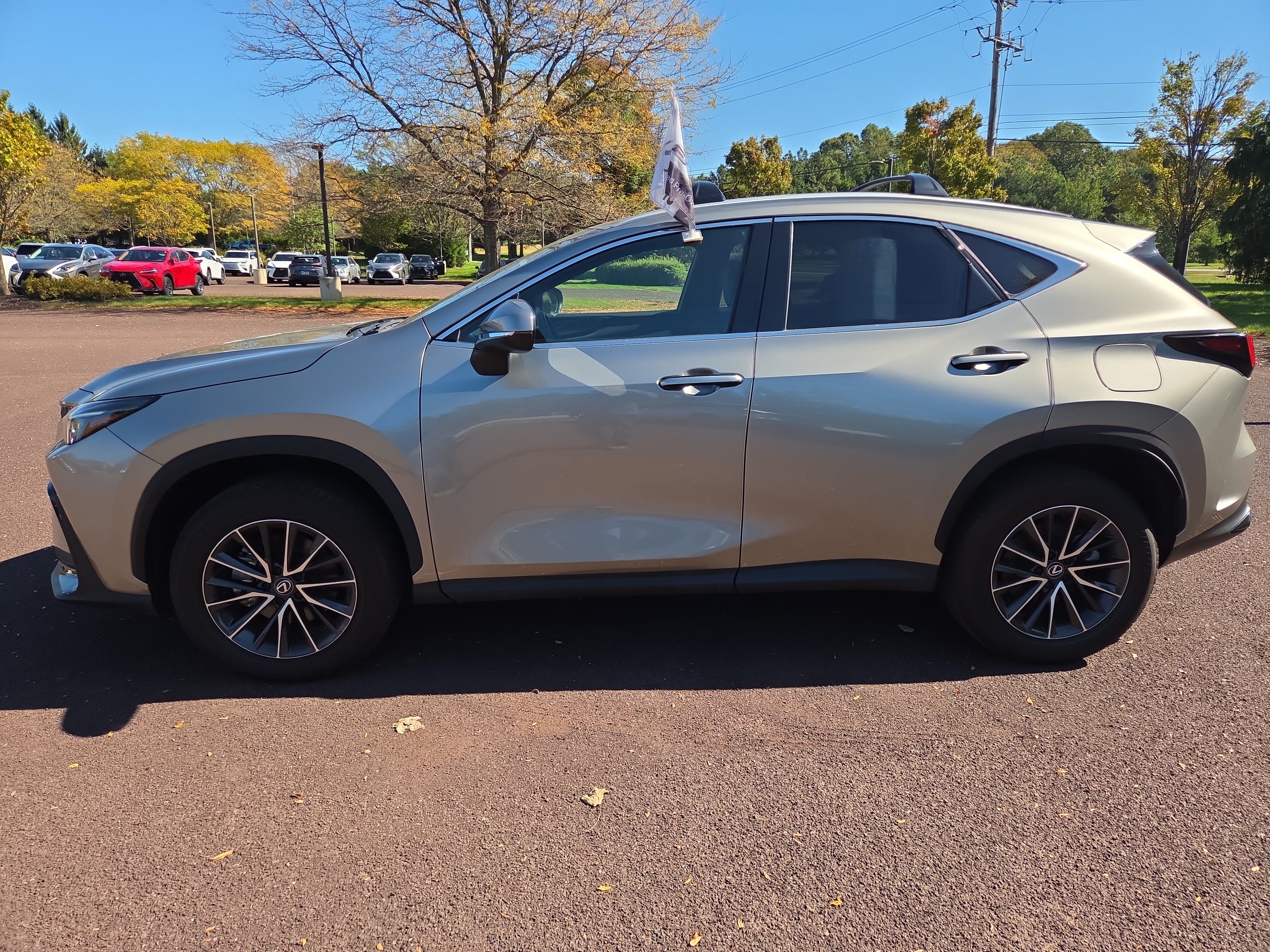 Used 2024 Lexus NX 350 AWD image 6