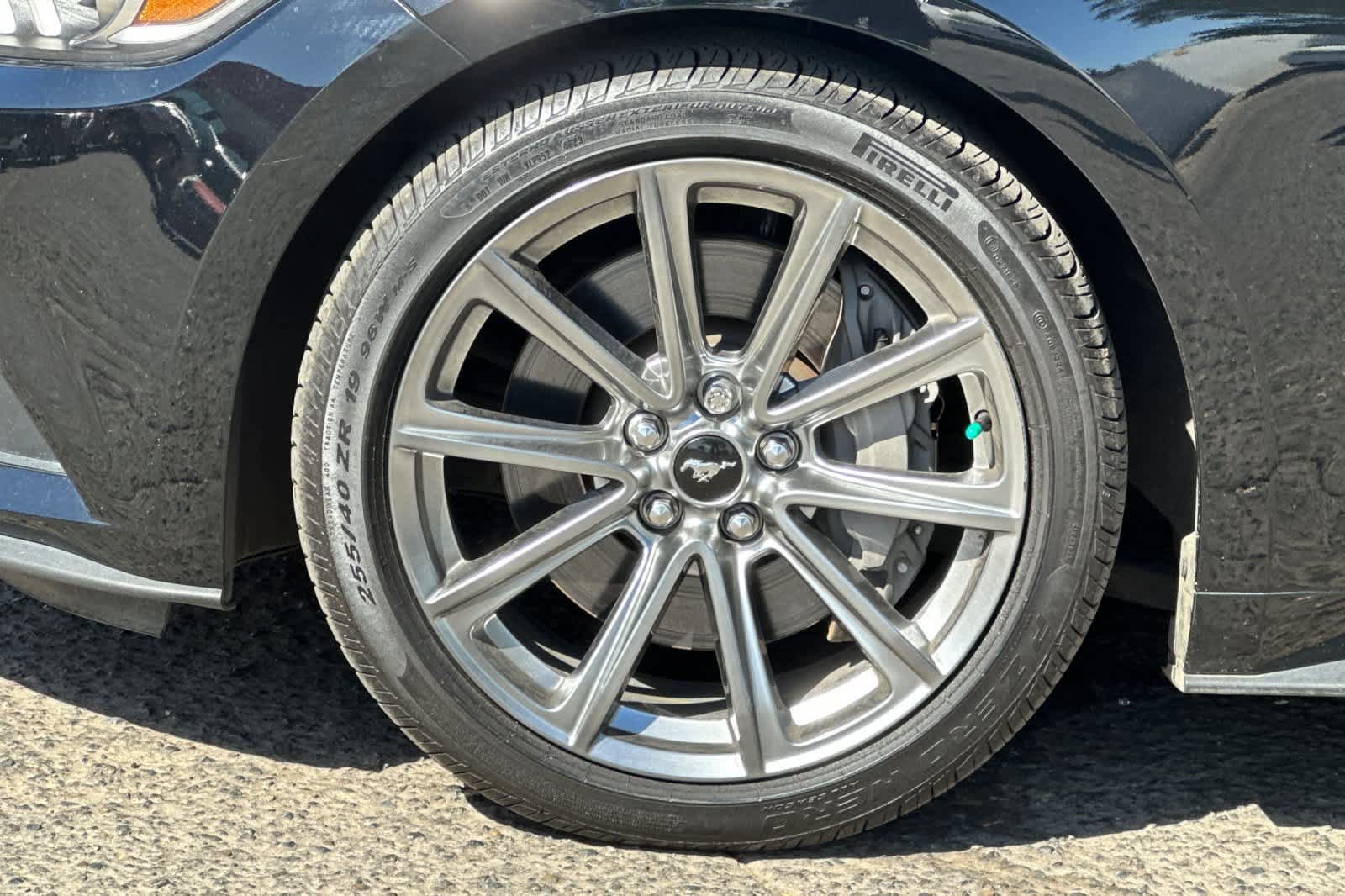 Used 2016 Ford Mustang GT Premium w/ Equipment Group 401A RWD image 12