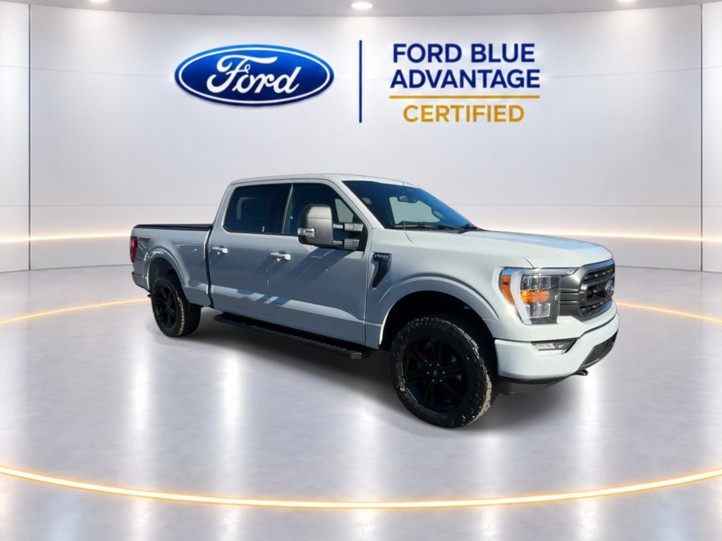 Used 2023 Ford F150 XLT w/ Equipment Group 302A High AWD/4WD image 3