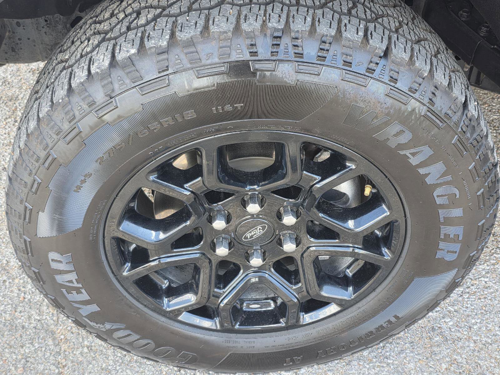 Used 2022 Ford F150 Platinum w/ Equipment Group 701A High AWD/4WD image 68