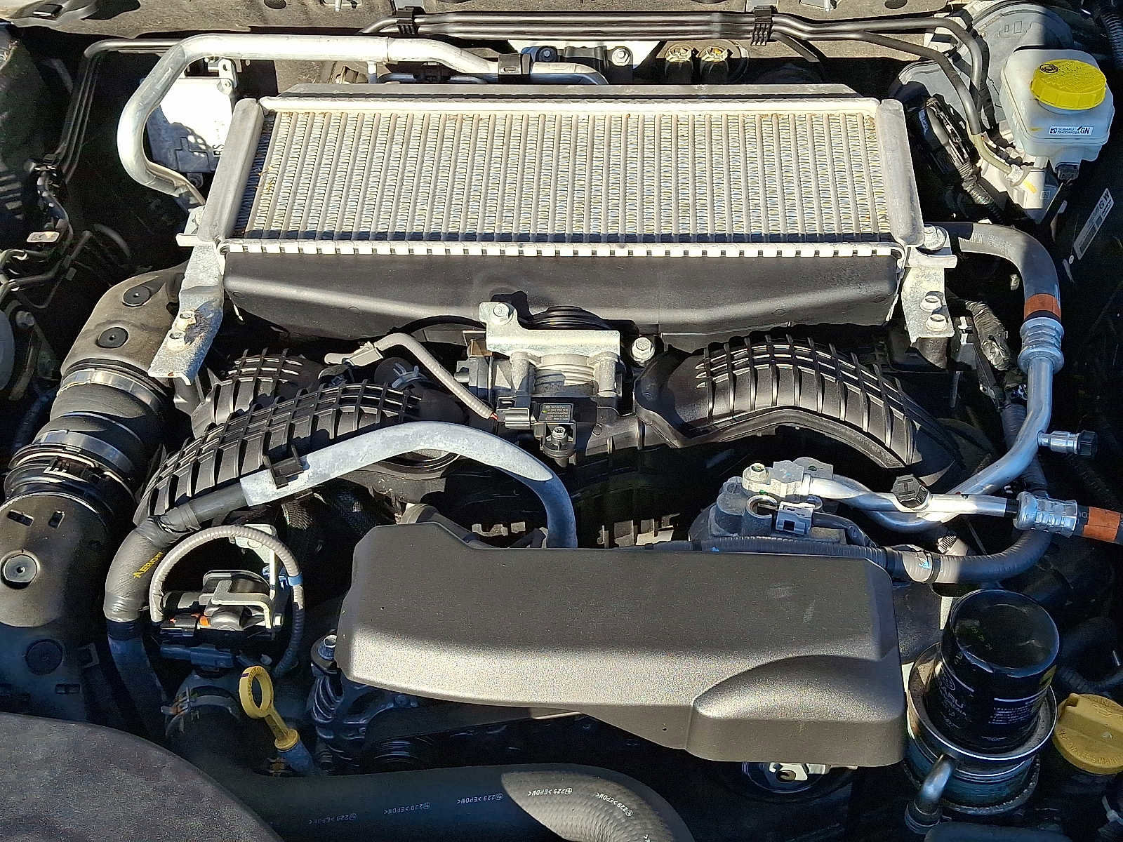 Used 2023 Subaru Outback Wilderness image 33