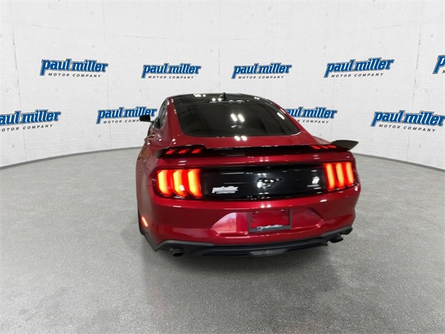 Used 2023 Ford Mustang Coupe w/ Equipment Group 101A image 9