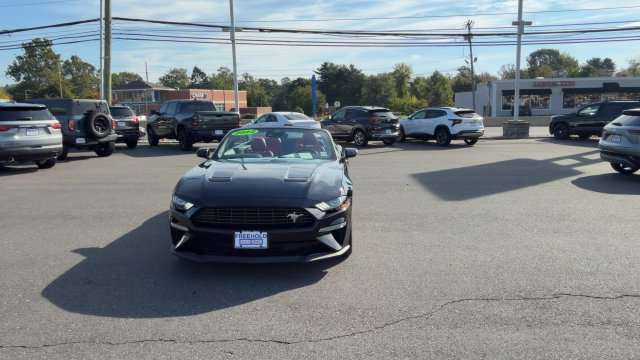 Used 2022 Ford Mustang Premium w/ 2.3L High Performance Package RWD image 7