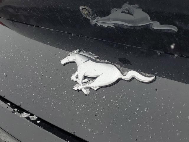 New 2026 Ford Mustang Premium RWD image 6