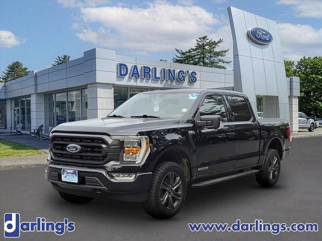 Used 2023 Ford F150 XLT w/ Equipment Group 302A High AWD/4WD video 1