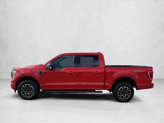 Used 2023 Ford F150 XLT w/ Equipment Group 302A High AWD/4WD image 9