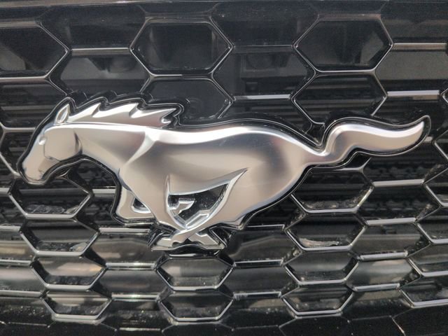 Used 2024 Ford Mustang GT Premium image 33