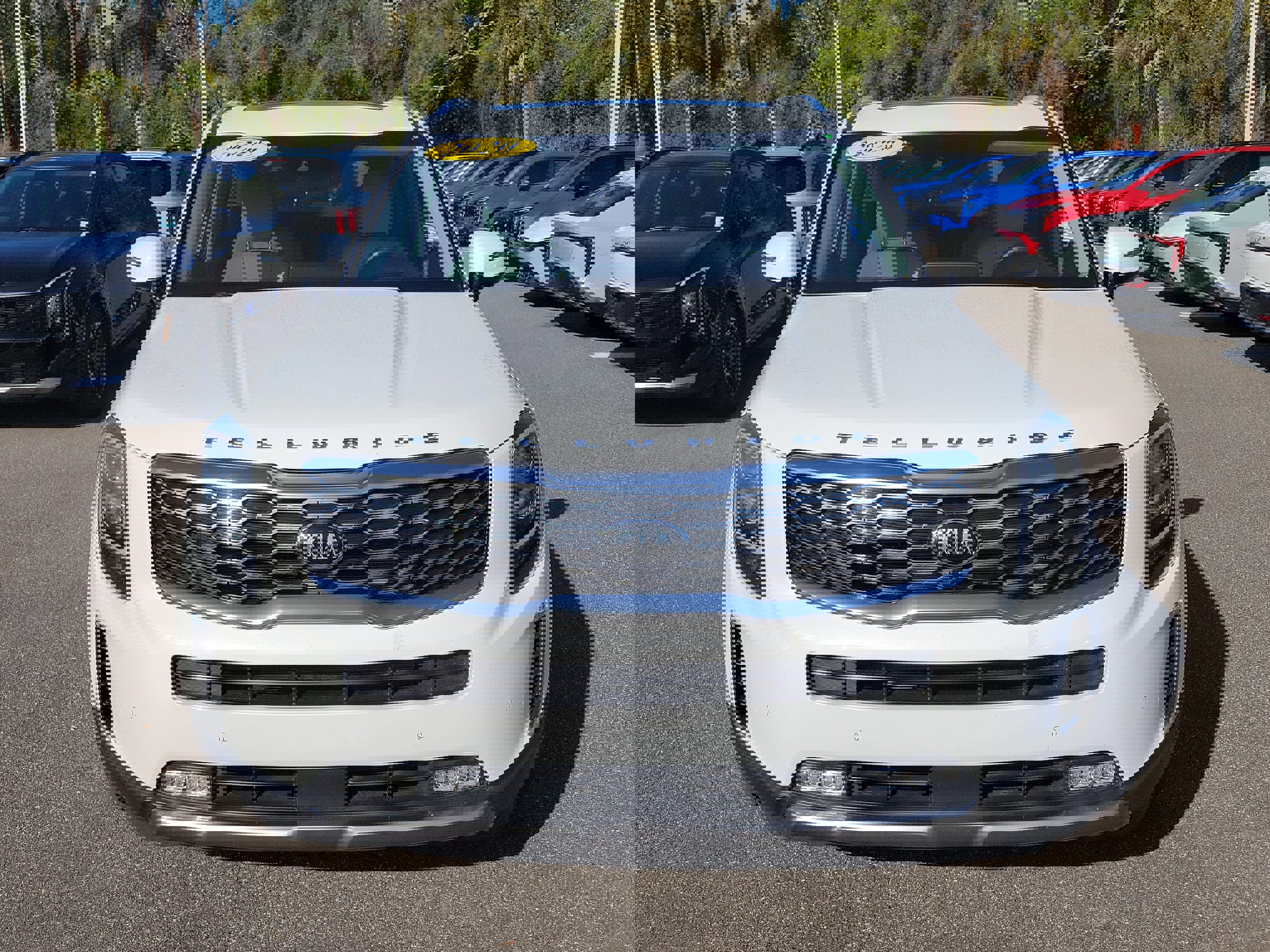 Used 2020 Kia Telluride SX w/ SX Prestige Package image 2