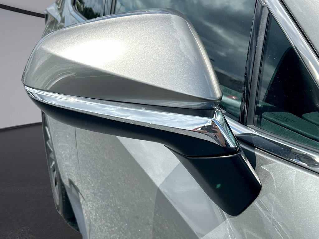 Used 2024 Lexus NX 350h AWD w/ Cold Area Package image 11