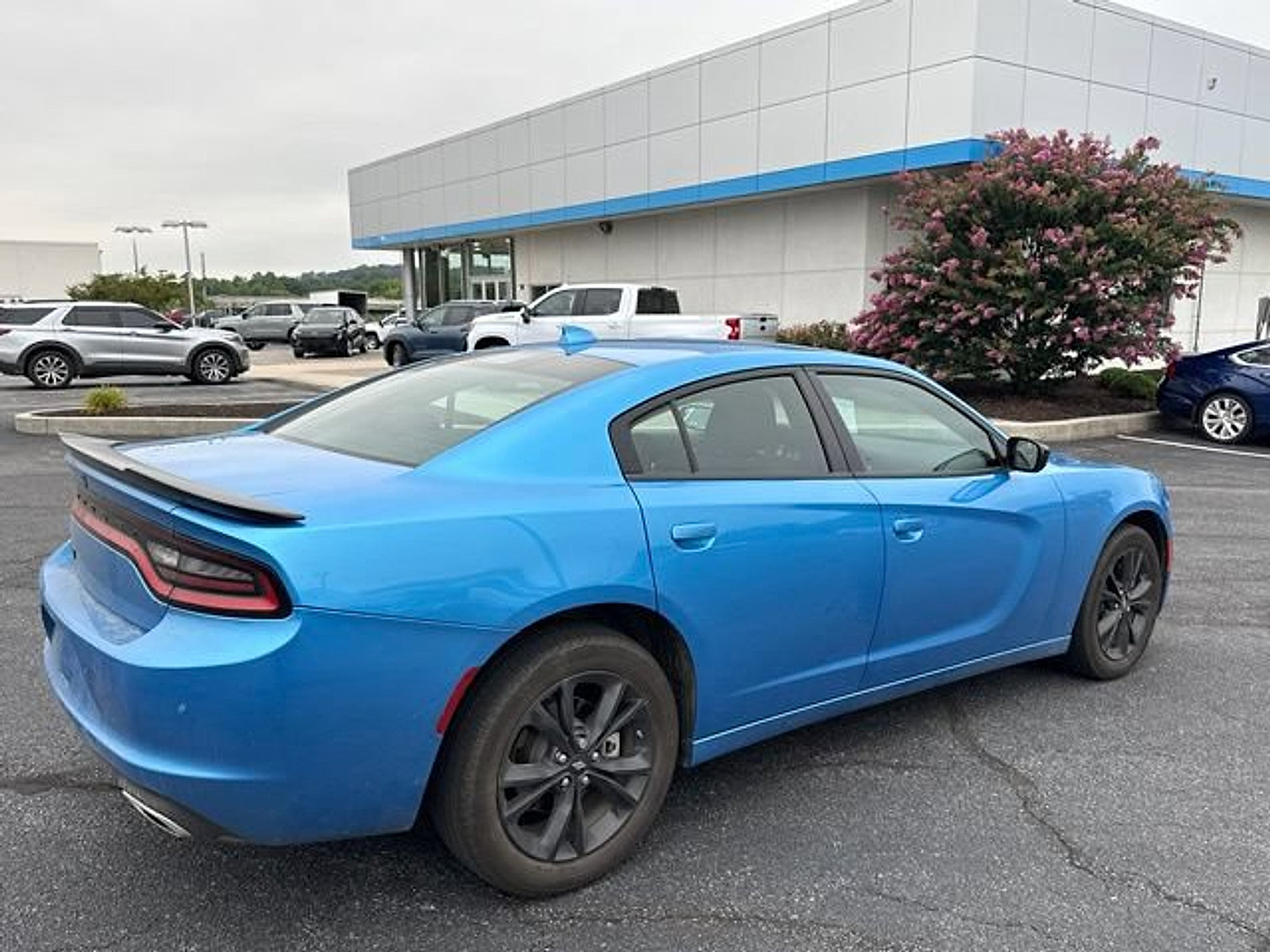 Used 2023 Dodge Charger SXT w/ Blacktop Special Edition AWD/4WD image 10