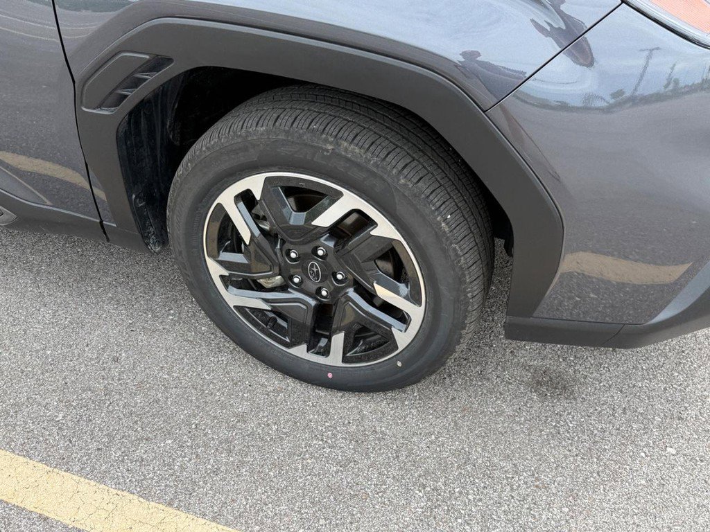 Used 2025 Subaru Forester Limited image 6