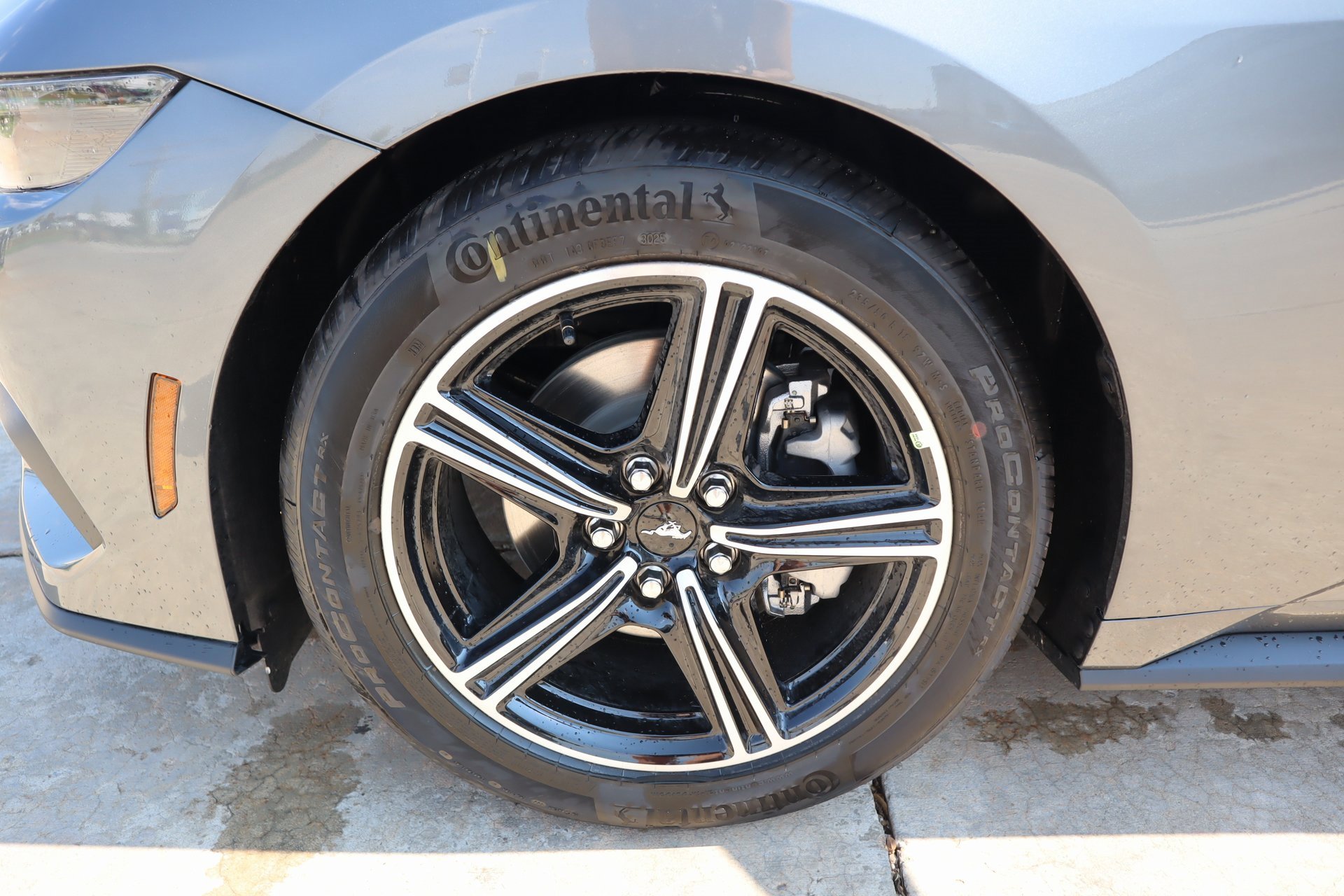 New 2025 Ford Mustang Coupe image 17