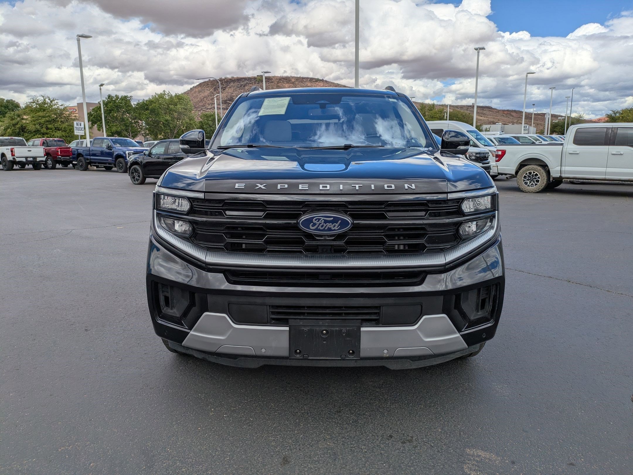 Used 2025 Ford Expedition Platinum image 11