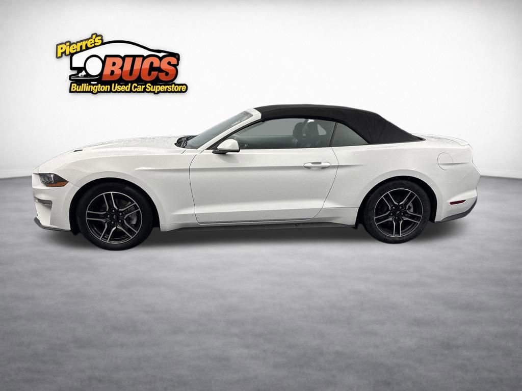 Used 2023 Ford Mustang Premium RWD image 2