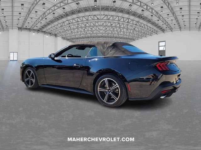 Used 2024 Ford Mustang Premium image 5