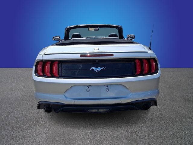 Used 2019 Ford Mustang Premium RWD image 5