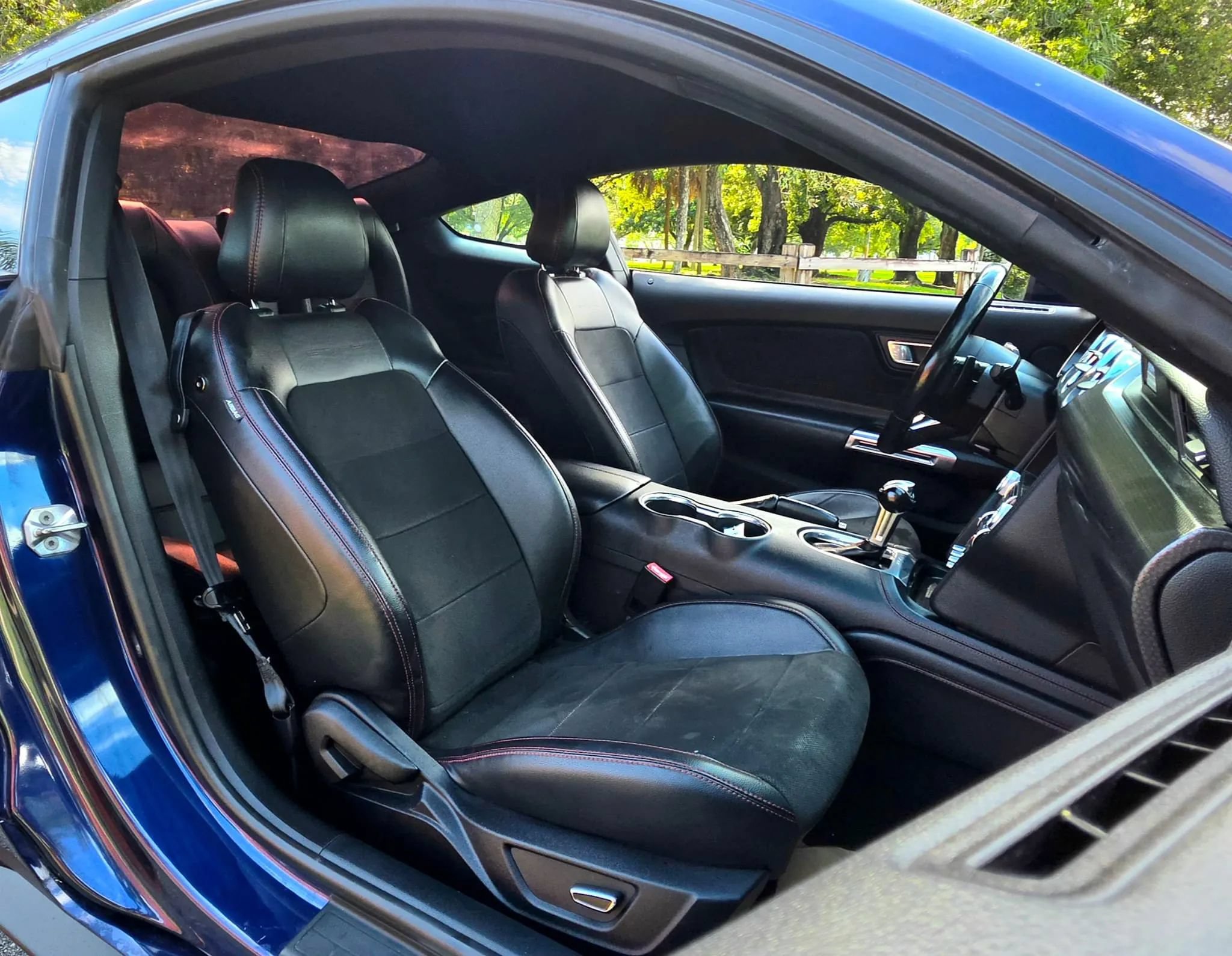 Used 2019 Ford Mustang GT Premium w/ Equipment Group 401A RWD image 3
