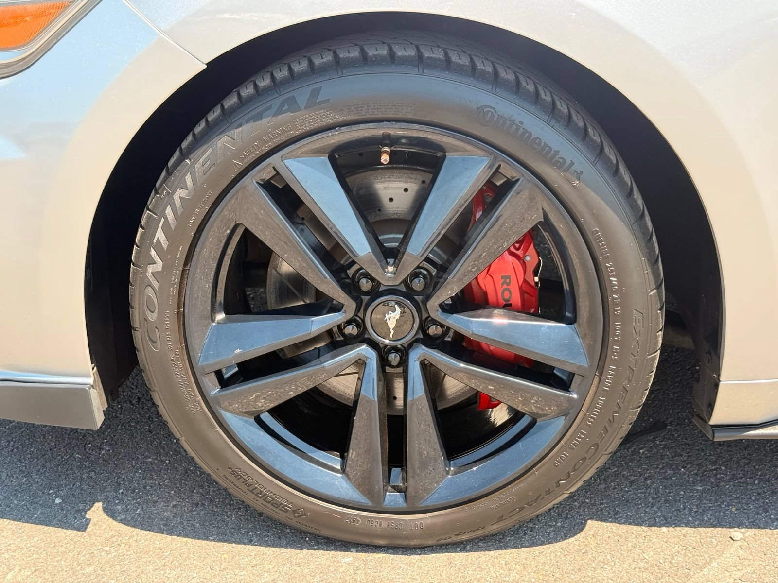 Used 2015 Ford Mustang Premium w/ Ecoboost Performance Package RWD image 15