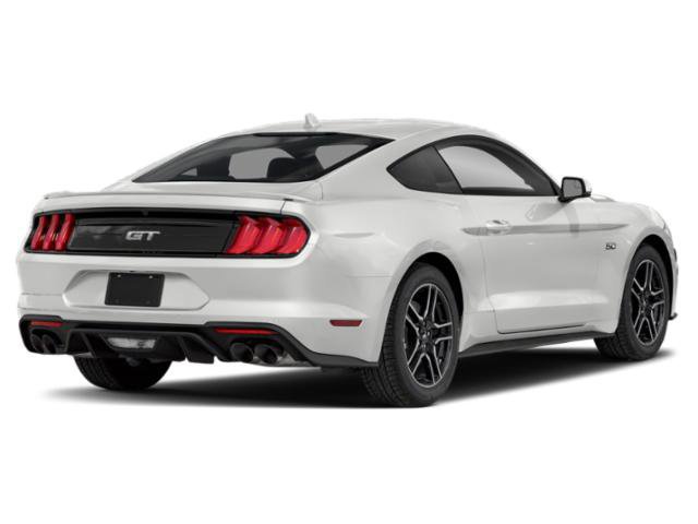 Used 2019 Ford Mustang GT Premium w/ Equipment Group 401A RWD video 2